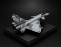 J-10C Vigorous Dragon Scale Model - Pakistan Air Force