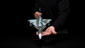 J-10C Vigorous Dragon Scale Model - Pakistan Air Force